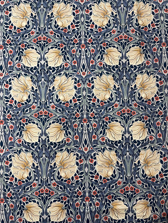 Pimpernel №10