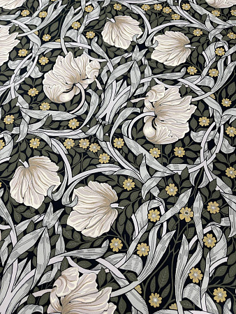 Pimpernel №09