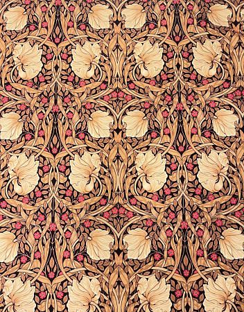 Pimpernel №01