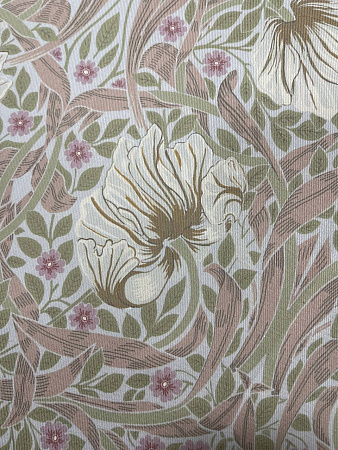 Pimpernel №11