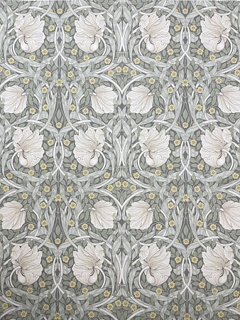 Pimpernel №06